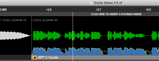 Playback Range Track Empty